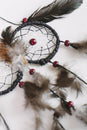 Load image into Gallery viewer, Owl Dreamcatcher: 6pcs/Pk