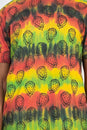 Load image into Gallery viewer, Rasta Tie-Dye Printed T-Shirt